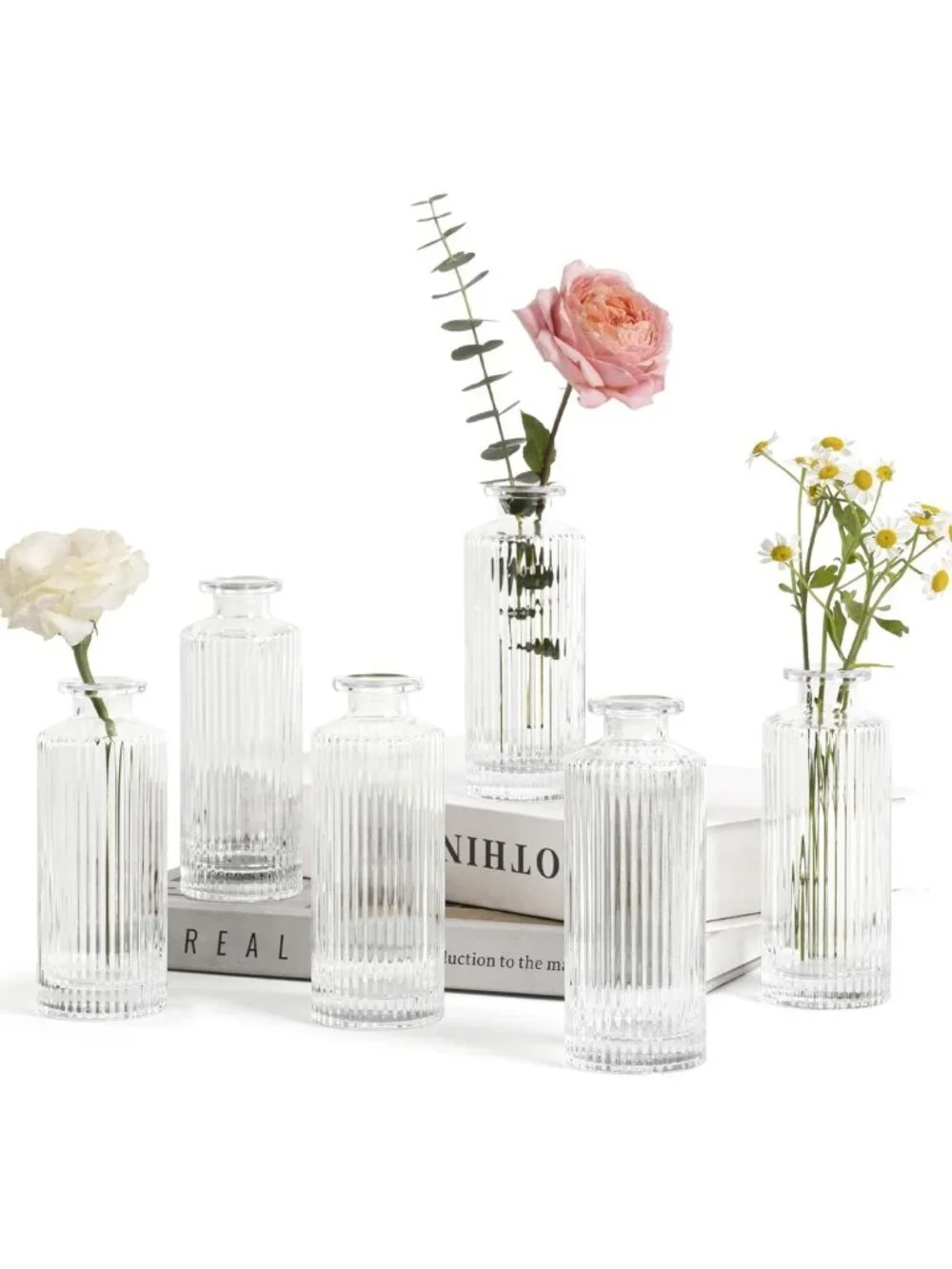 Set of 6 Clear Glass Bud Vases - 5.2 Inch Small Flower Holders for Home Decor